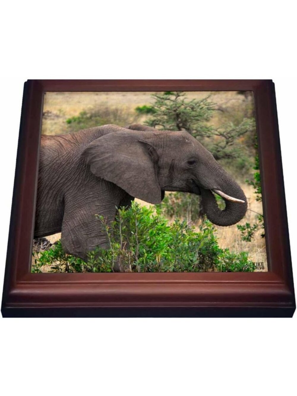8x8 Ceramic Trivet - African Elephant Design, Masai Mara Wildlife Decor